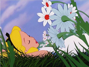 TODAY IS A GREAT DAY TO MAKE YOUR DREAMS COME TRUE