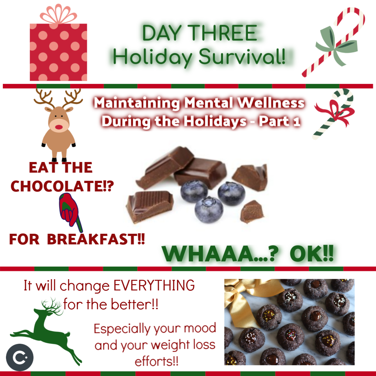 WHAT ABOUT MENTAL WELLNESS DURING THE HOLIDAYS?
