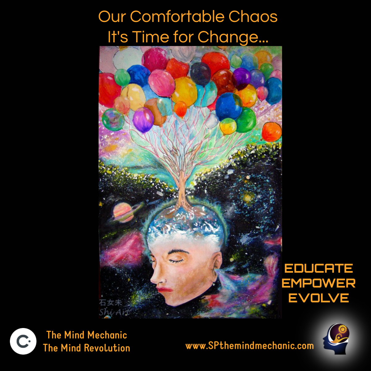 OUR COMFORTABLE CHAOS