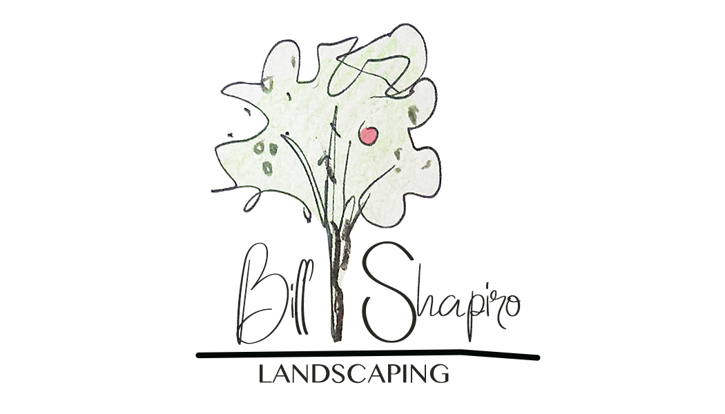 BillShapiro.Logo 2.png
