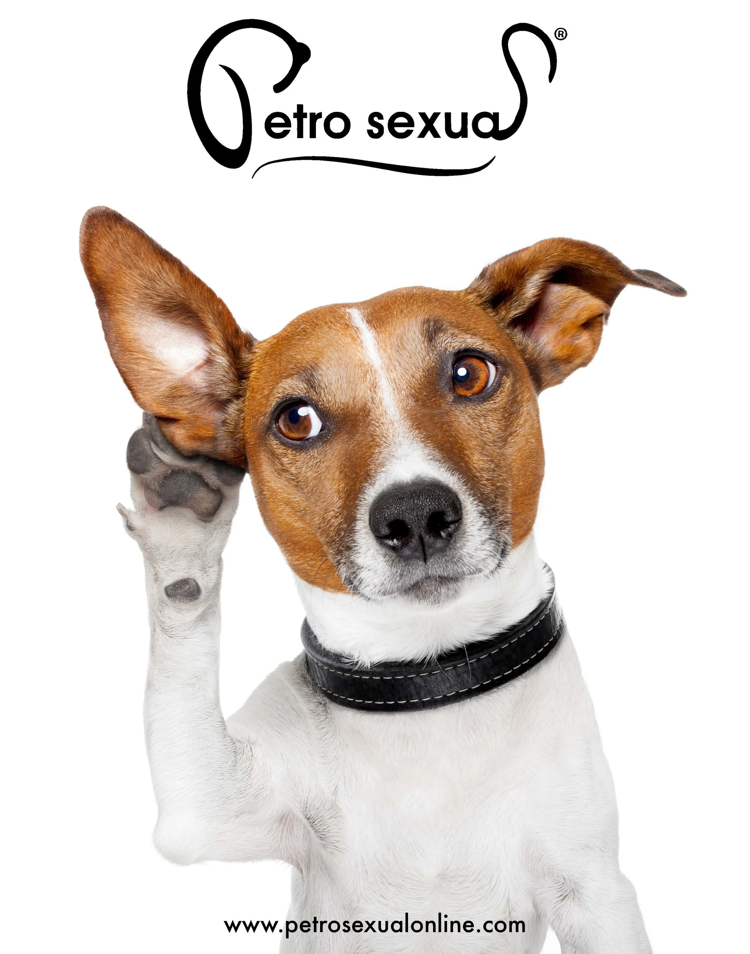petro-11x14-poster.jpg