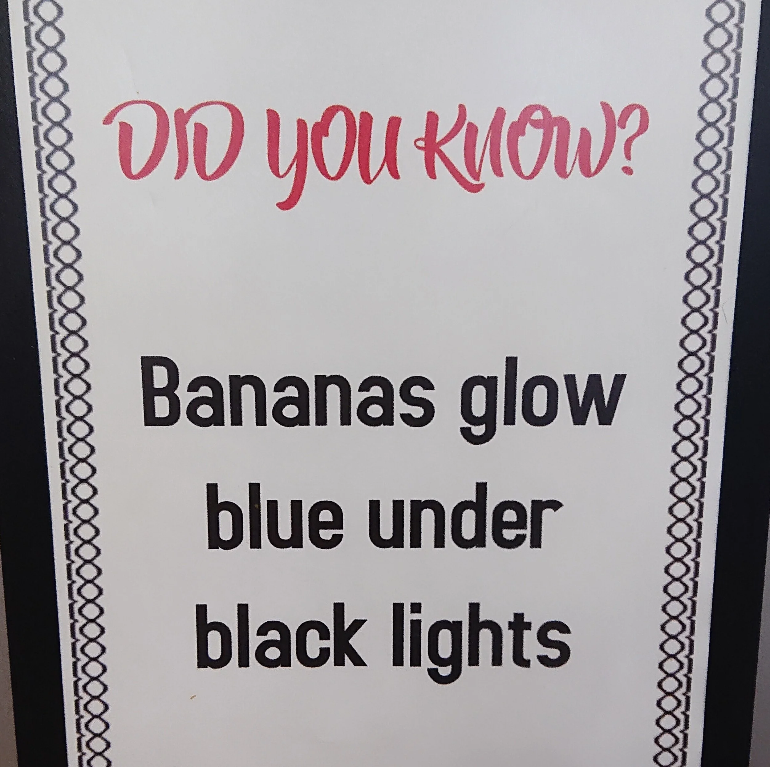 Empiricism (or “I've got a banana”) — Elizabeth Guilt