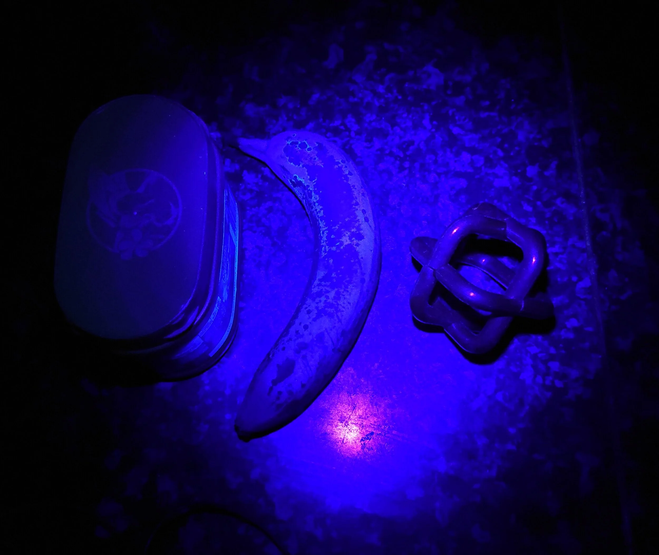 Empiricism (or “I've got a banana”)