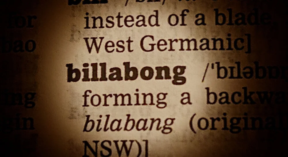 Word Surprise! Billabong
