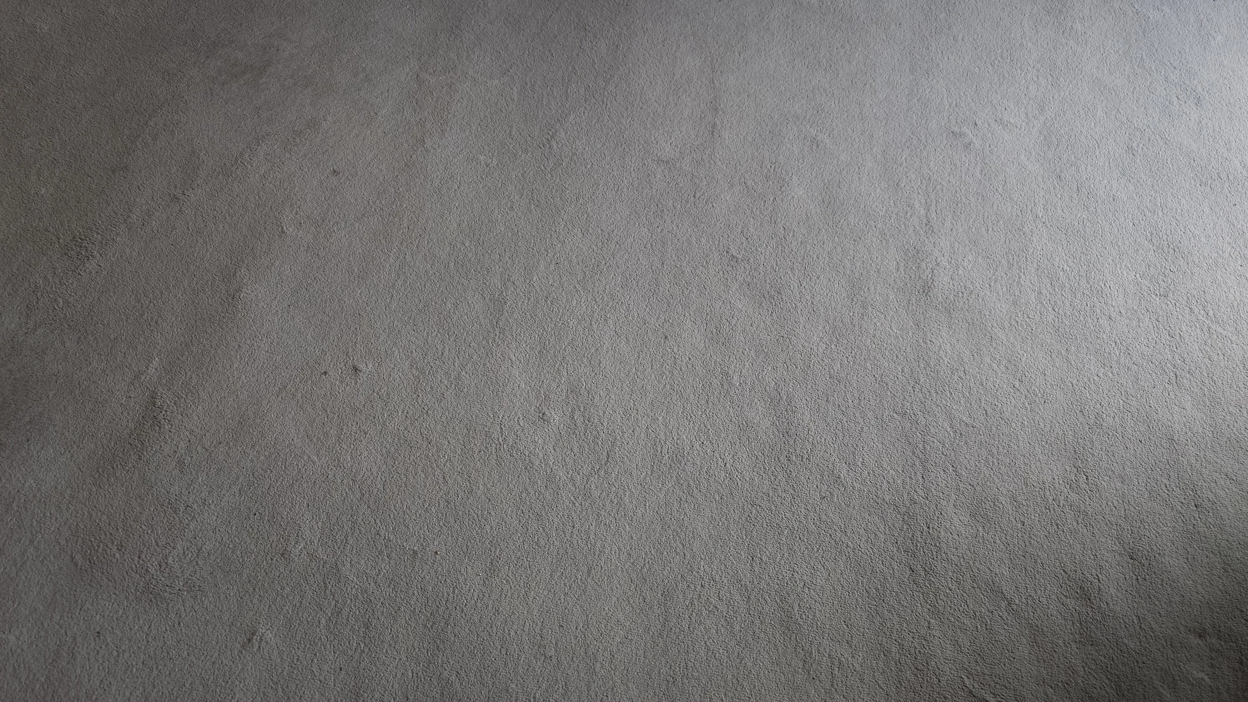 A rather tatty grey rectangle of carpet, containing an extremely conspicuous absence of books.