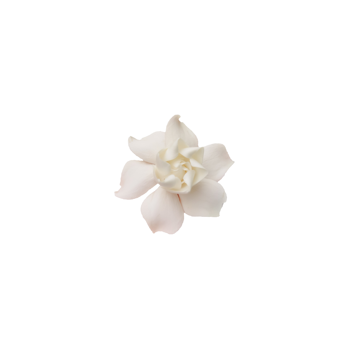 Facebook Post (12).png