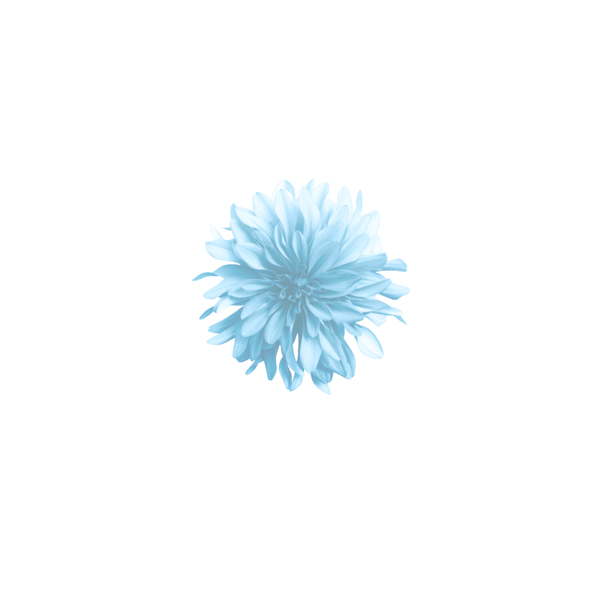 Facebook Post (11).png