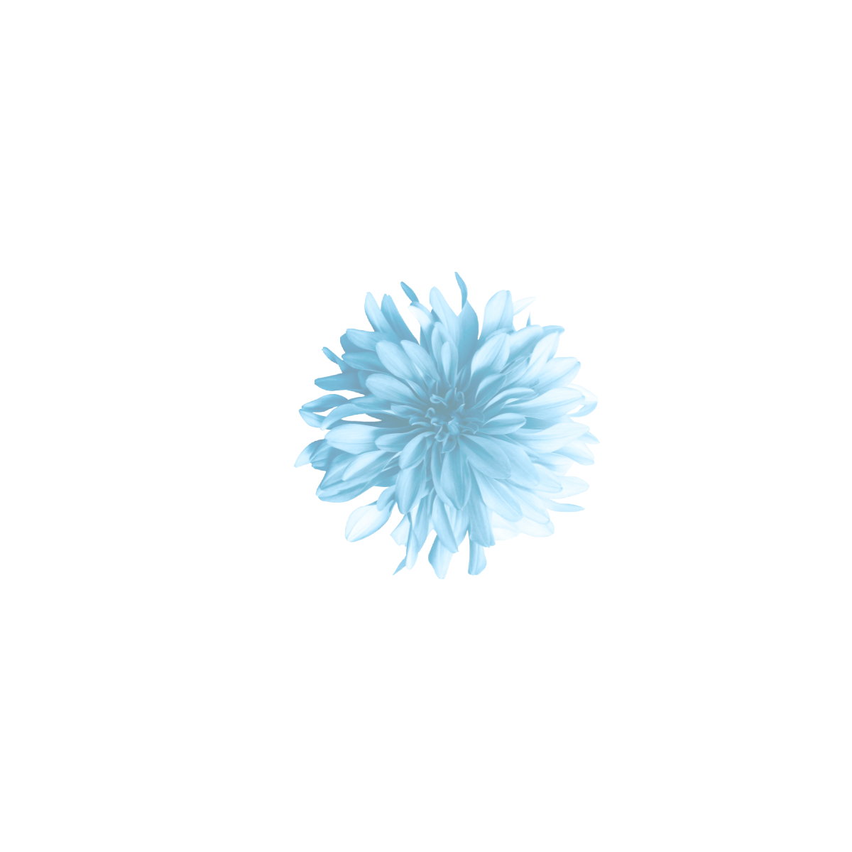 Facebook Post (11).png