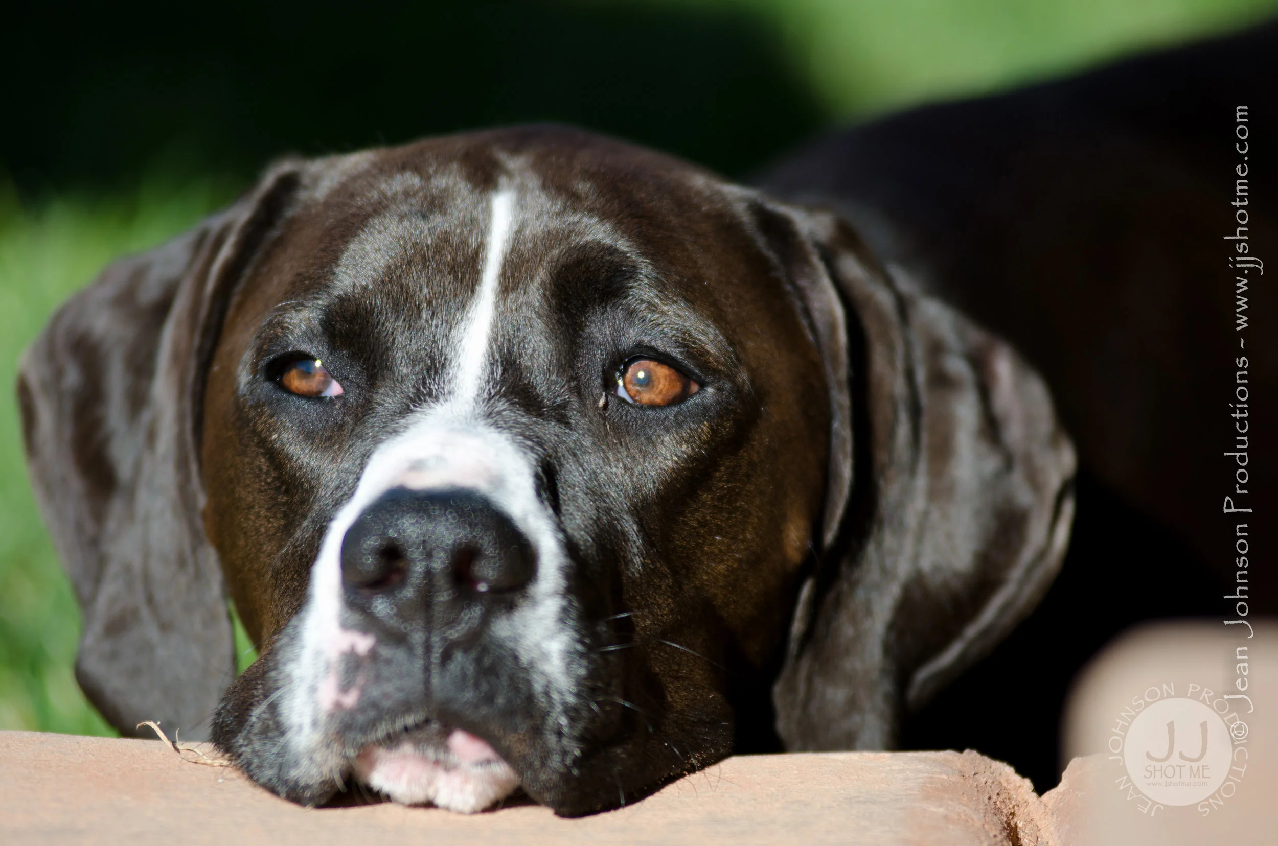 jjshotme-DSC_2625.jpg