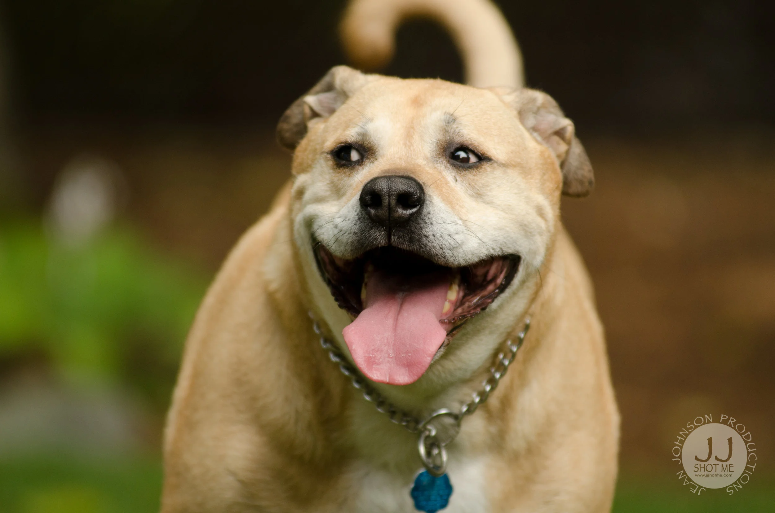 jjshotme-DSC_3308.jpg