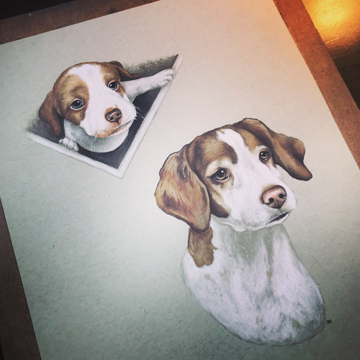 Brittany Spaniel Collage