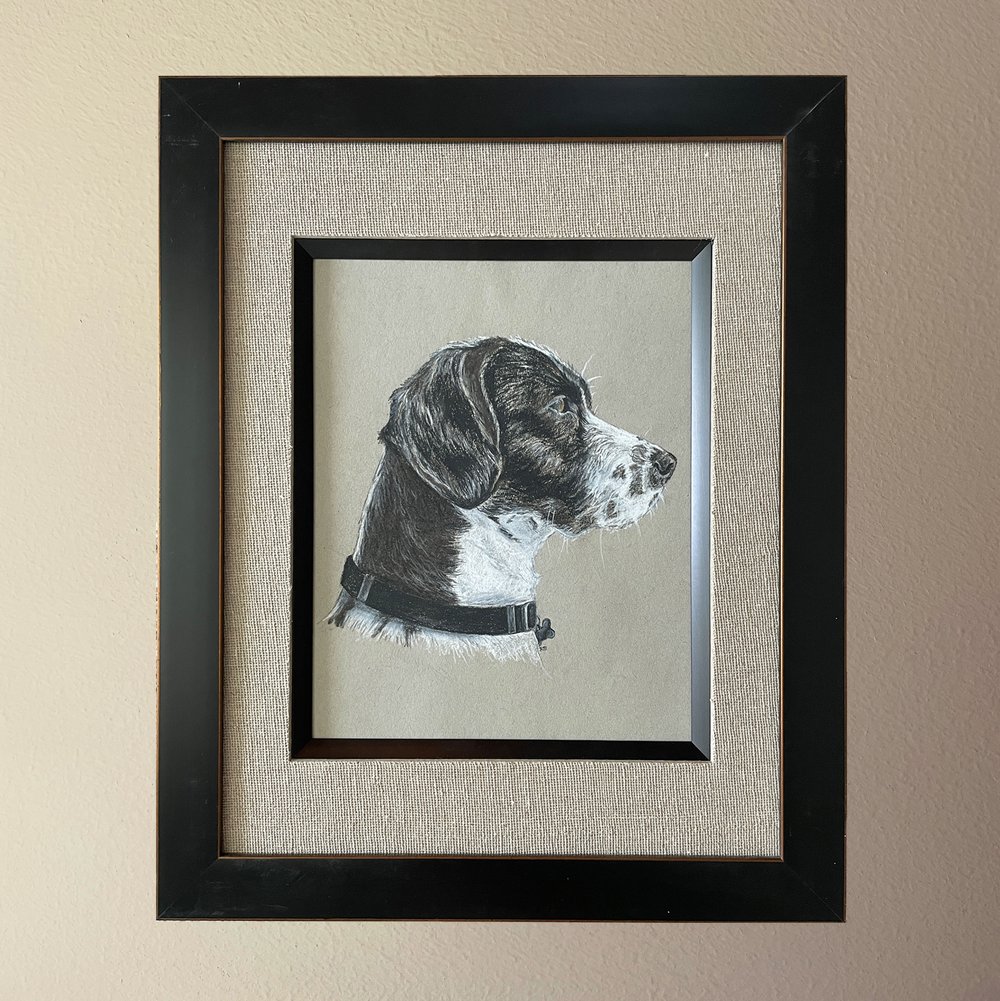 Charcoal Hound Dog Sketch