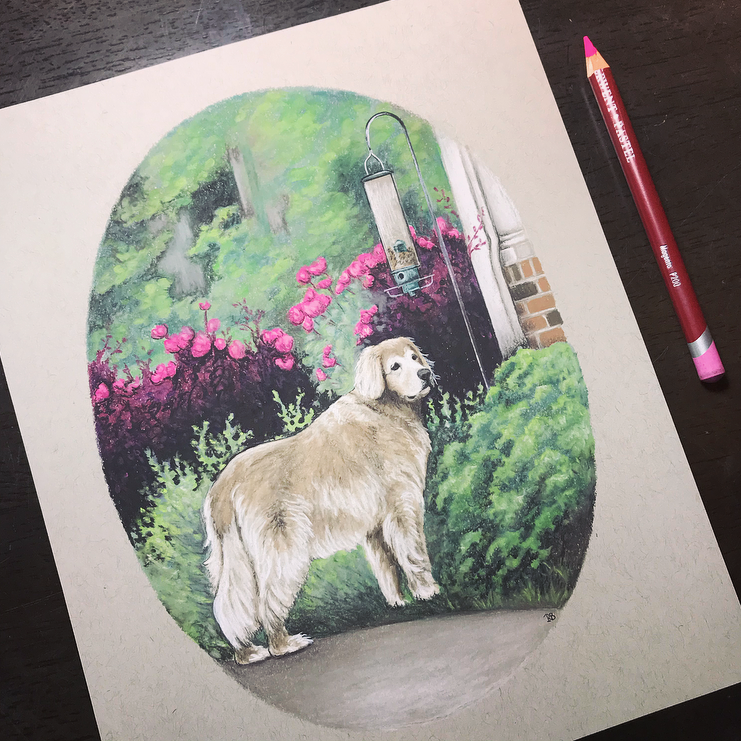 Custom Dog Portrait with Oval, Golden Retriever