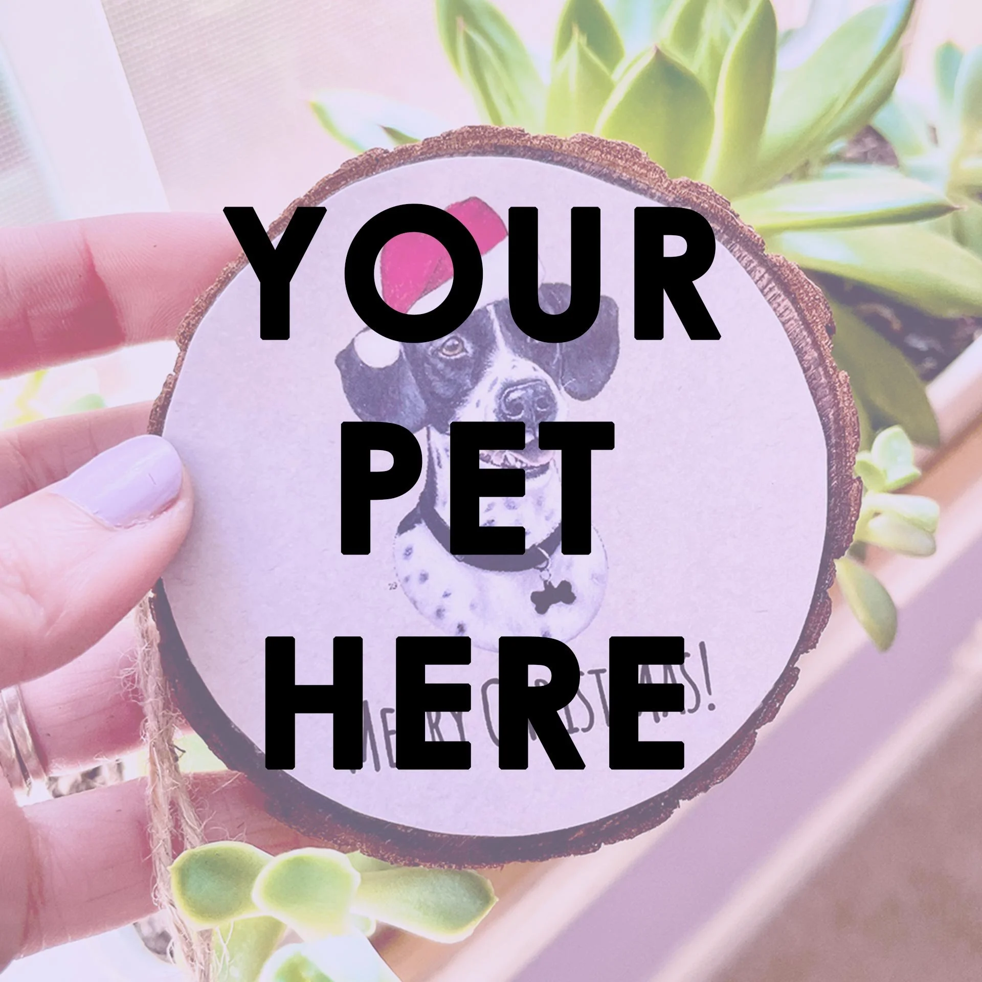 ADD-ONs for your Custom Portrait