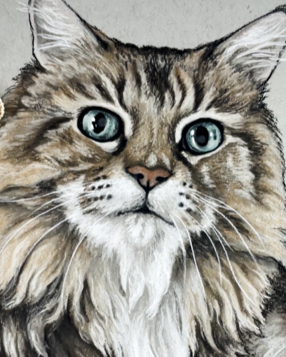 Screenshot 2026-03-04 122551.png