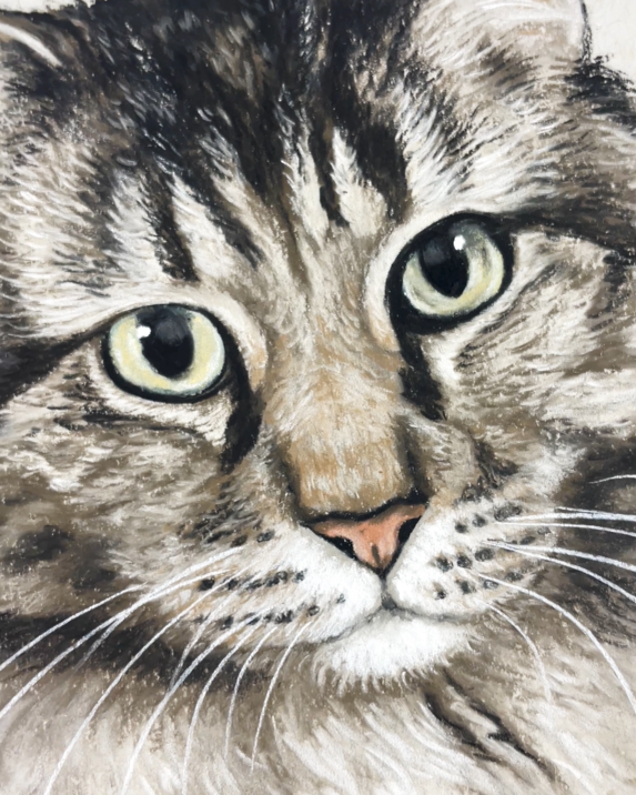 Screenshot 2026-03-04 122534.png