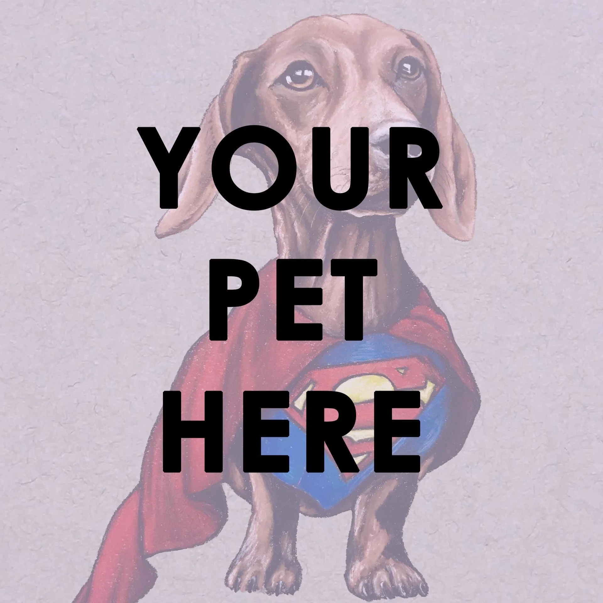 Turn YOUR Pet into a Superhero!