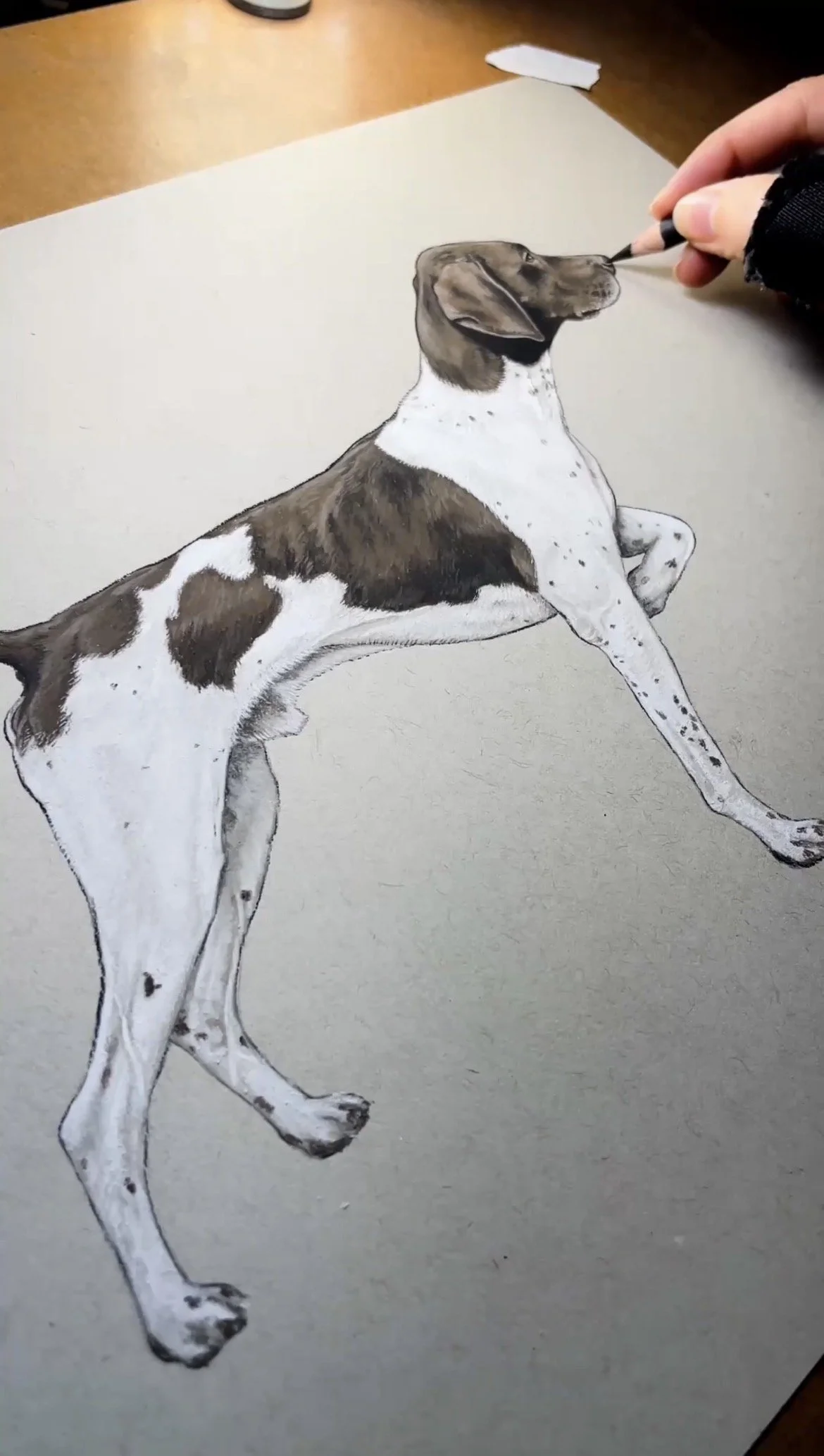 Reebok Drawing by Hand