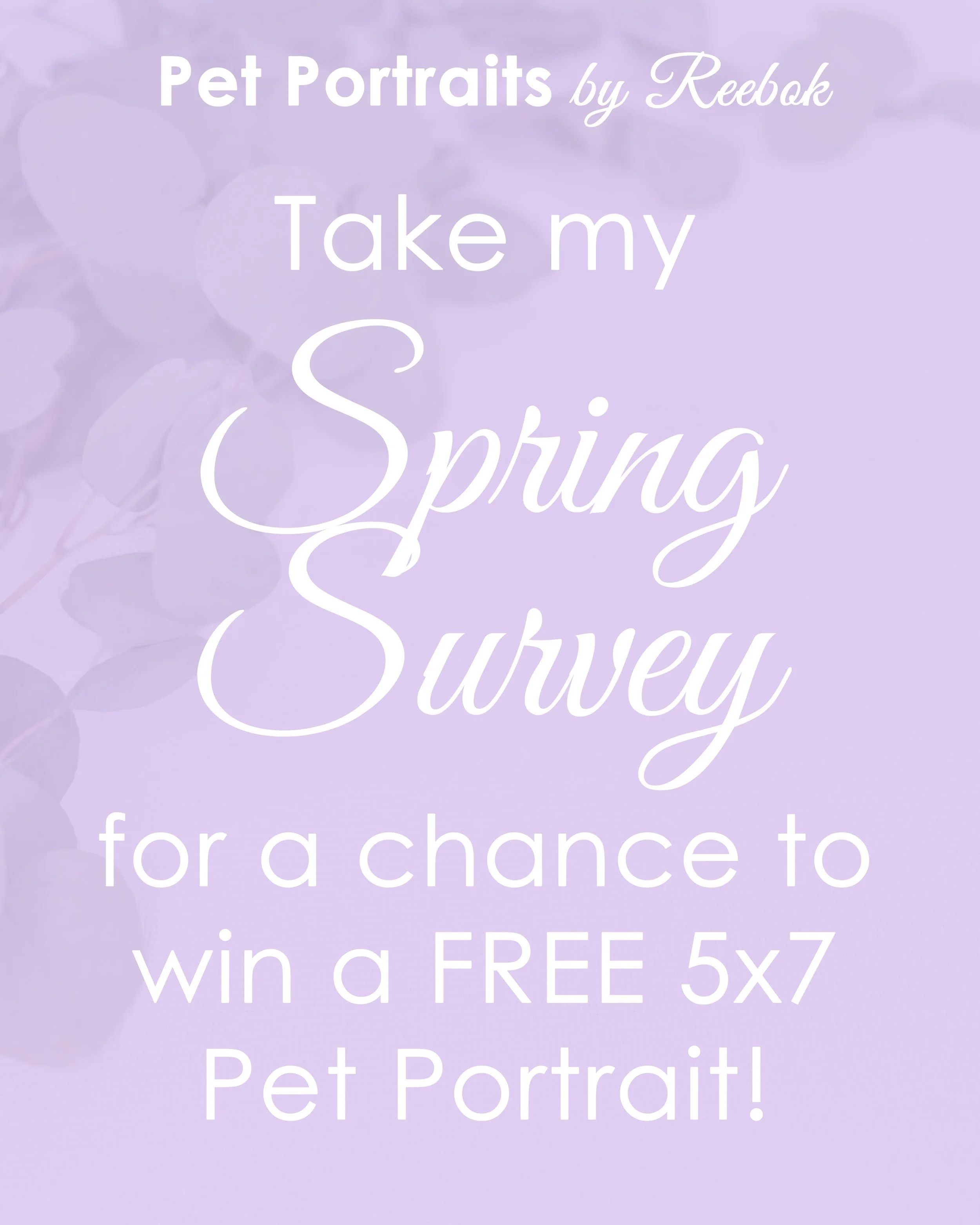 Win a free 5x7 Pet Portrait!