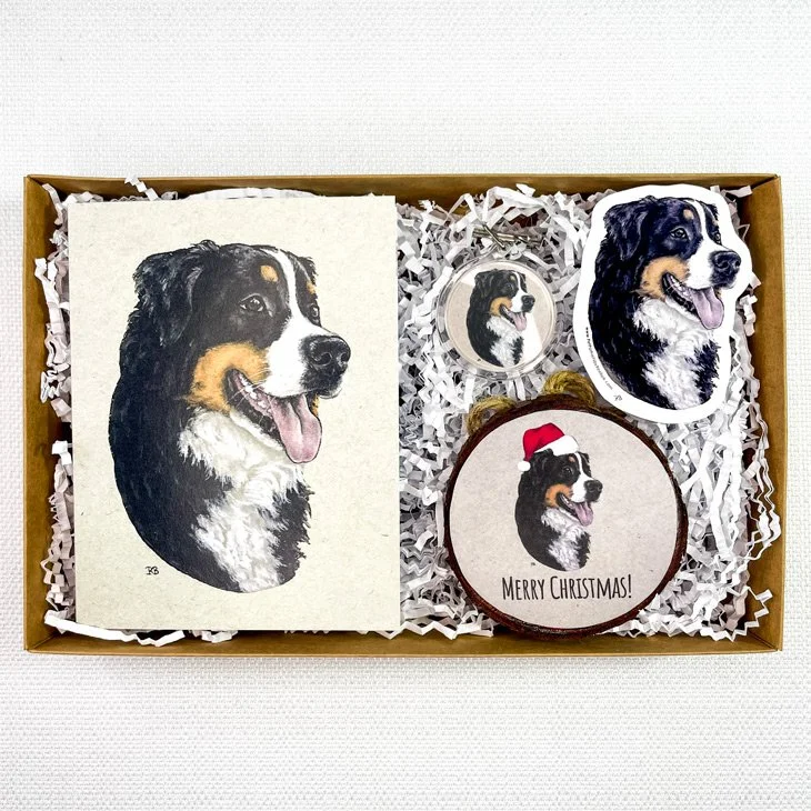 Bernese-Box.jpg