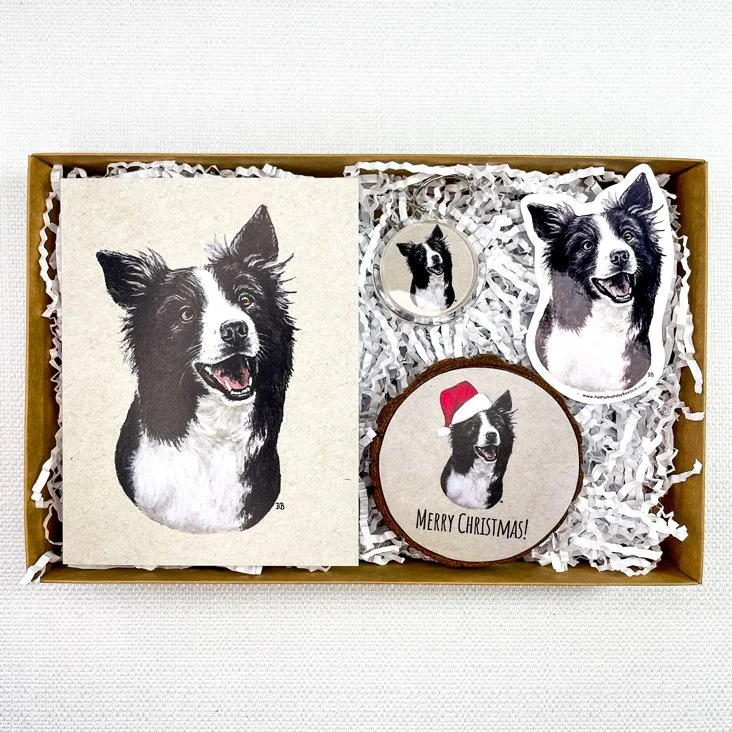Border-Collie-Black-and-White-Box.jpg