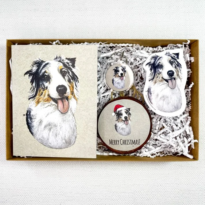 Aussie-Blue-Merle-Box.jpg