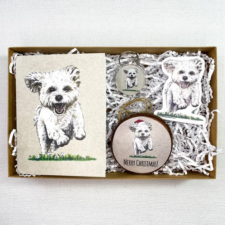 Havanese-White-Box.jpg