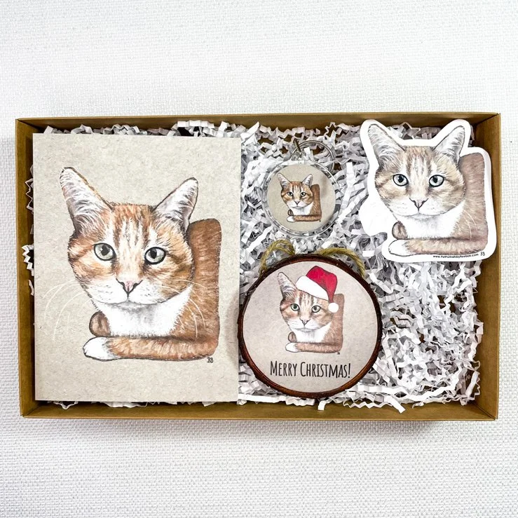 Cat-Orange-Box.jpg