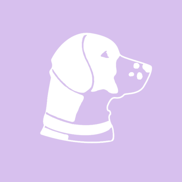 Pet Portrait Gallery