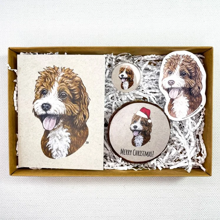 Cavapoo-Box.jpg