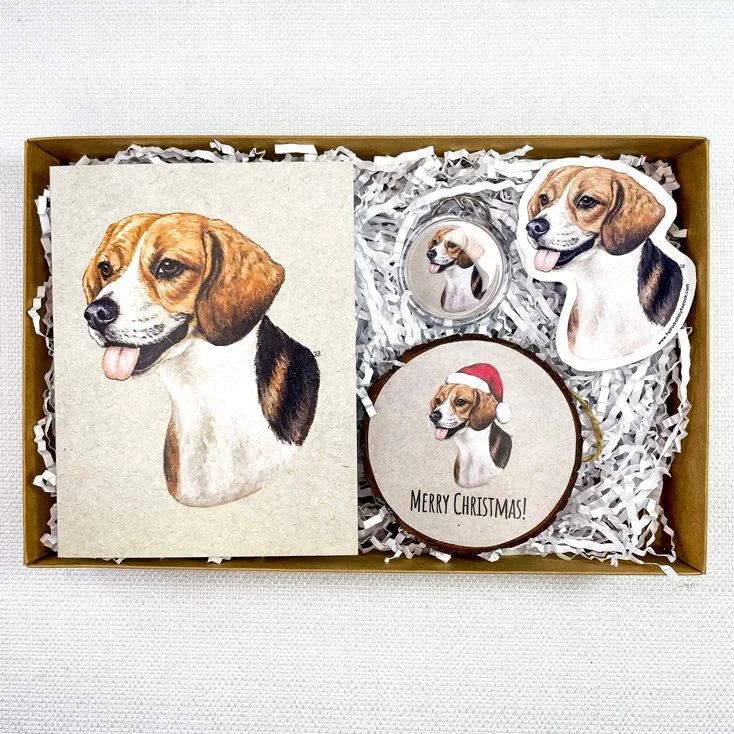 Beagle-Box.jpg