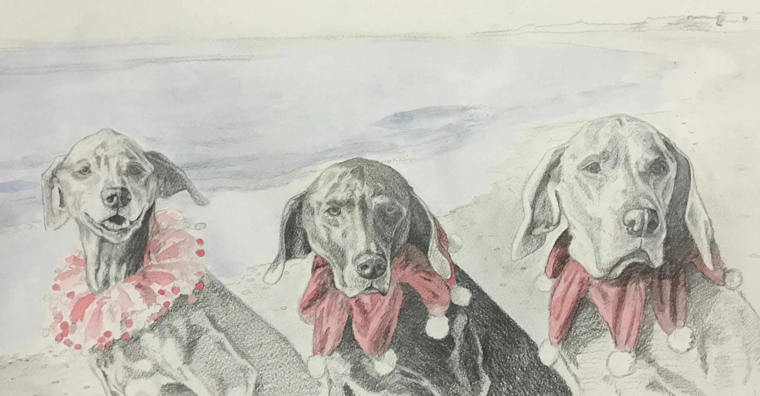 20 IMG_4668 copy 2.JPG