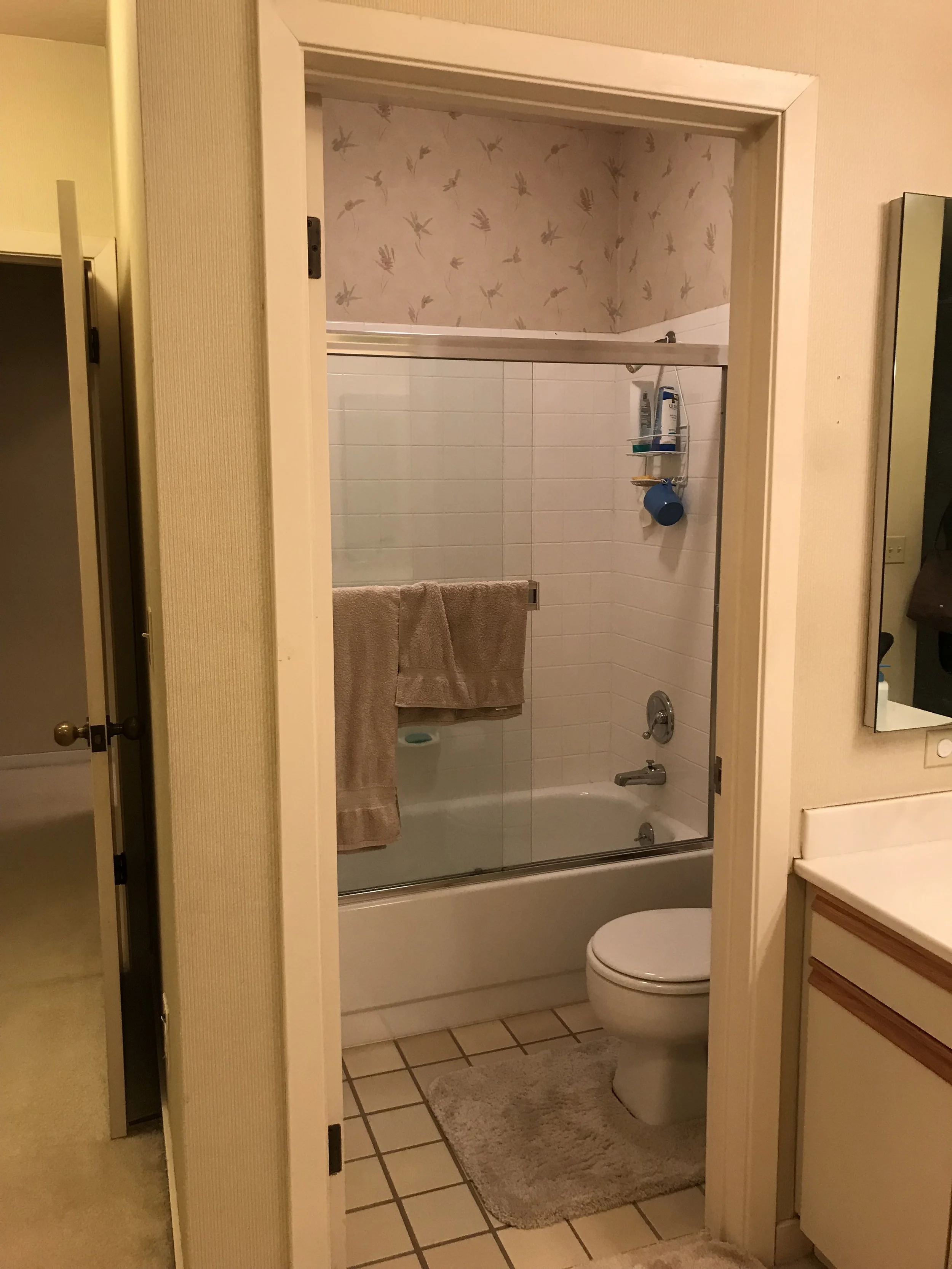 master bath before.JPG