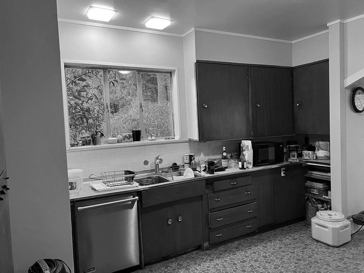 IMG_8071-preview 2.png