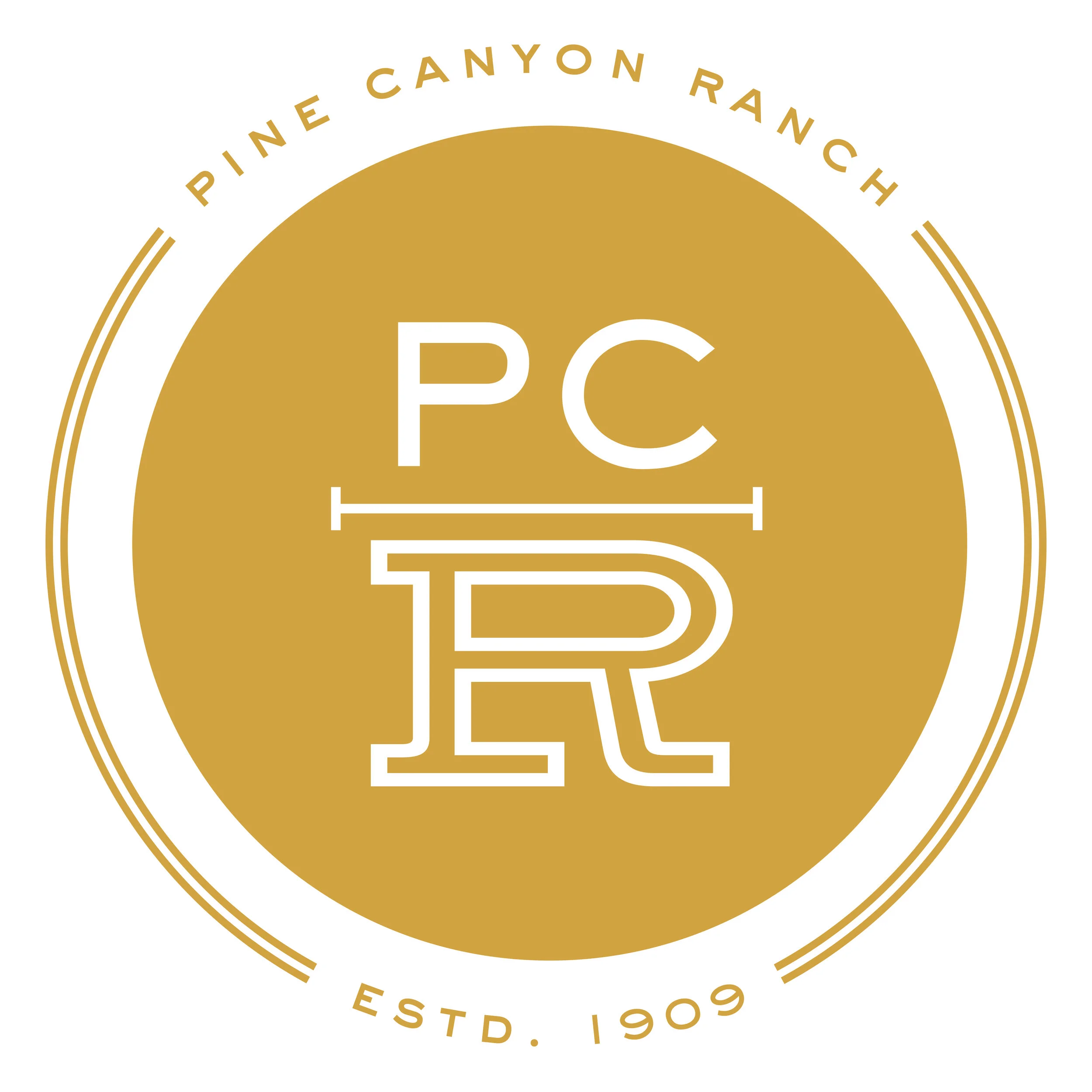 PCR Yellow.jpg