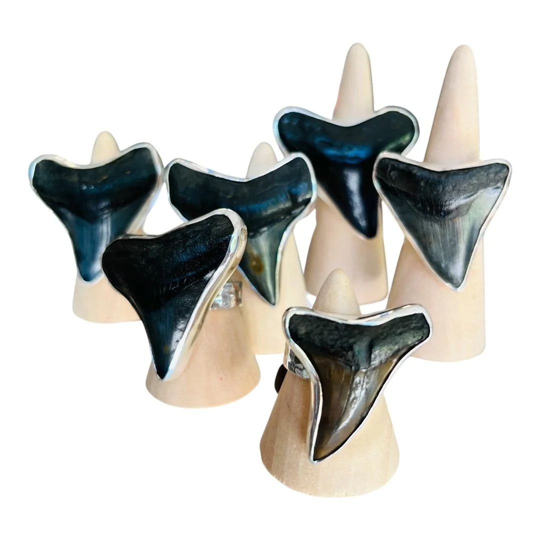 Megalodon Tooth Ring