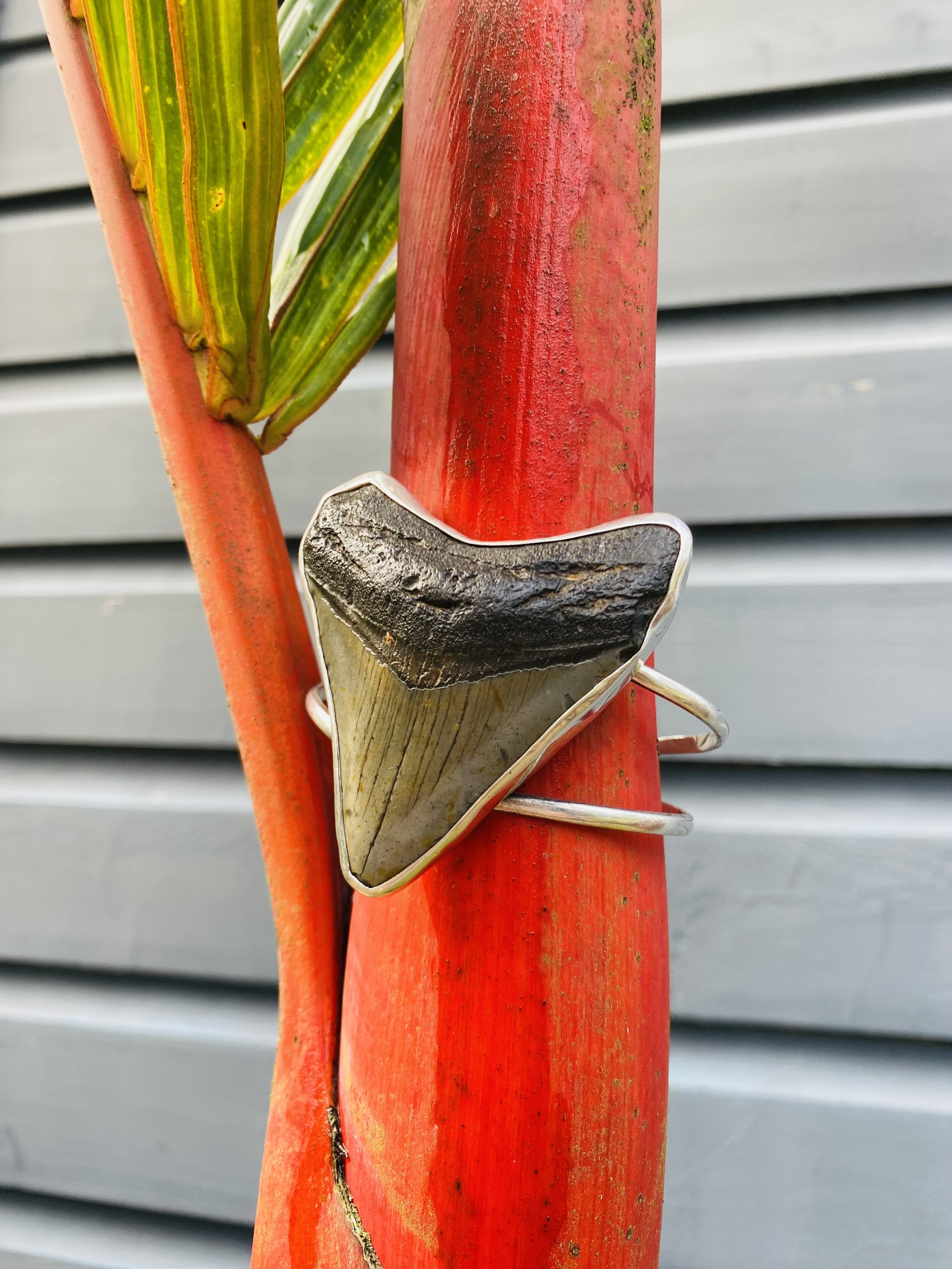 Megalodon Tooth Cuff Bracelet