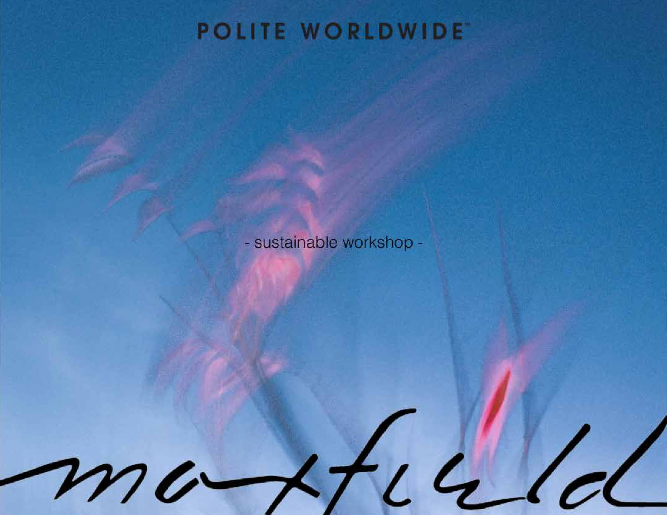 Polite X Maxfield V5(small)-01.jpg