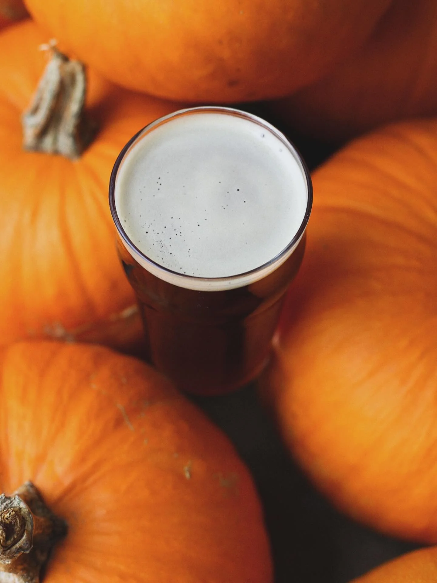 A seasonal favorite, freshly tapped:
𝗛𝗔𝗥𝗩𝗘𝗦𝗧 𝗔𝗟𝗘 
Easy-drinking, slightly sweet finish … amber ale made with brown sugar and roasted butternut squash from the Henmick garden with subtle flavors of pumpkin pie and caramel apple. 6% AB