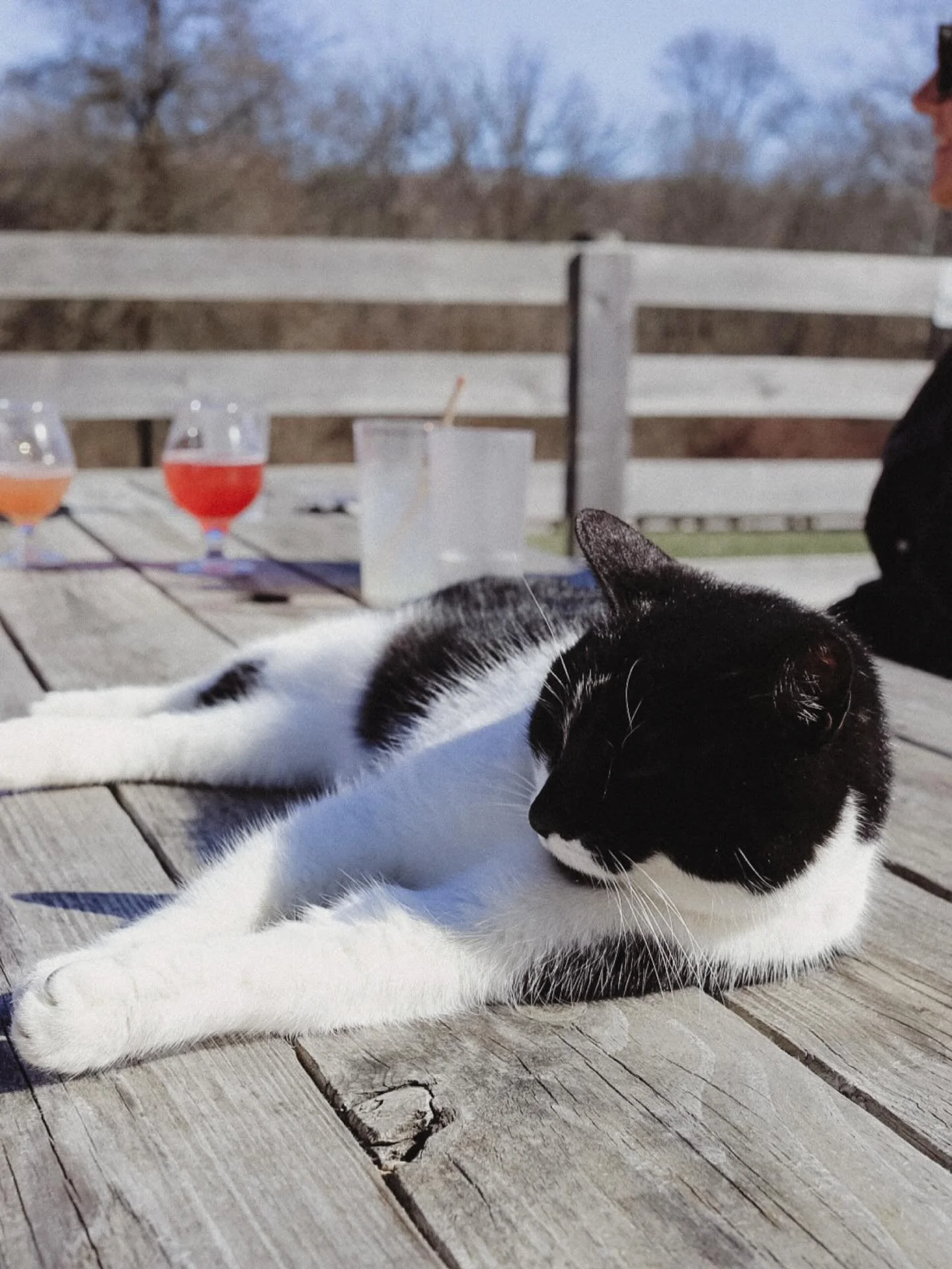 A little chilly, but still great patio weather. Mittens confirmed. 
THU, 3/12:
Open 4-9p
@valleverdecbus 4-8p