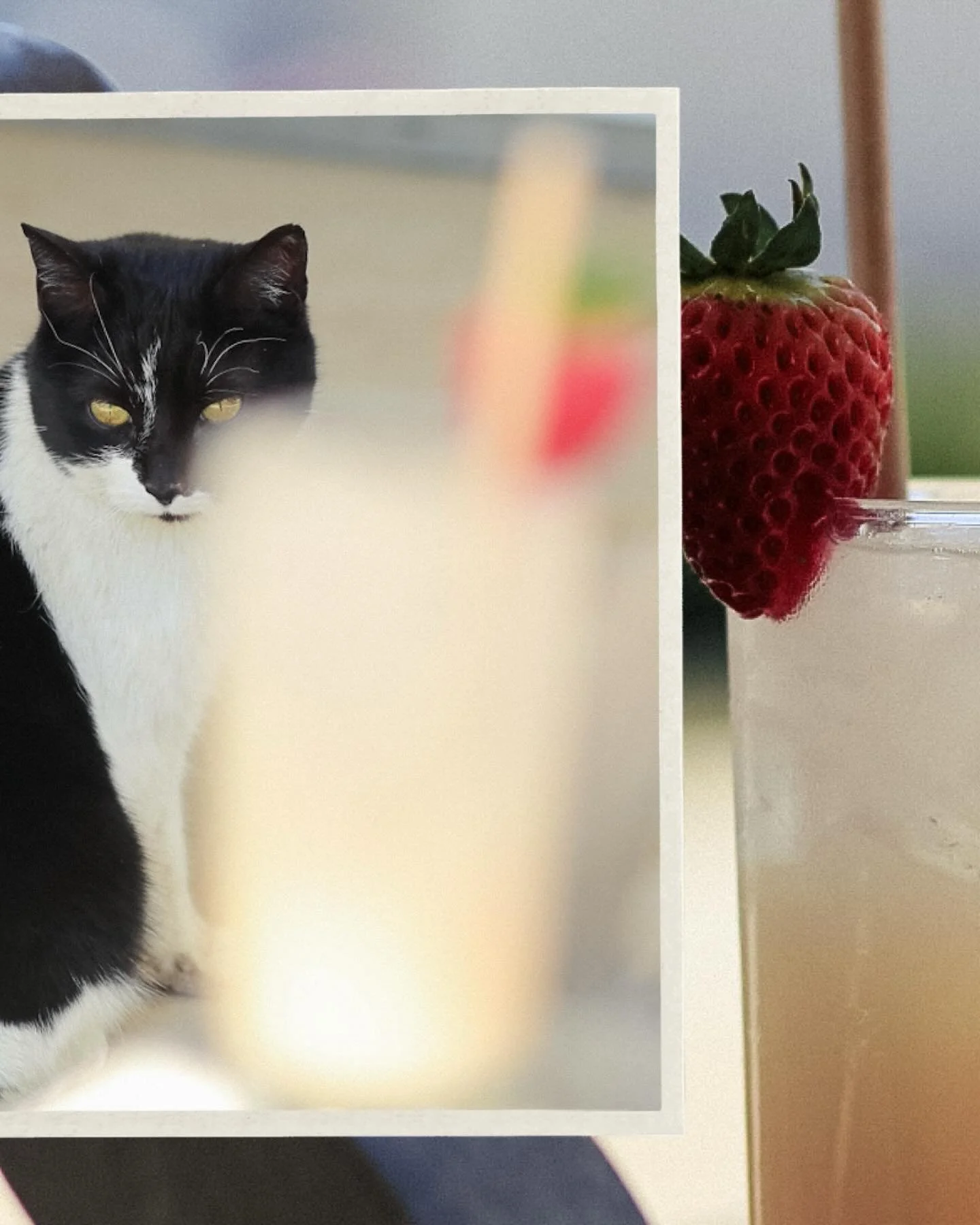 The sun &amp; a warm-weather favorite showed up today, we&rsquo;ll drink to that. 
Strawberry Fields:
Watershed Vodka, Strawberry Liqueur, Coconut Syrup, Lime Juice, Soda Water