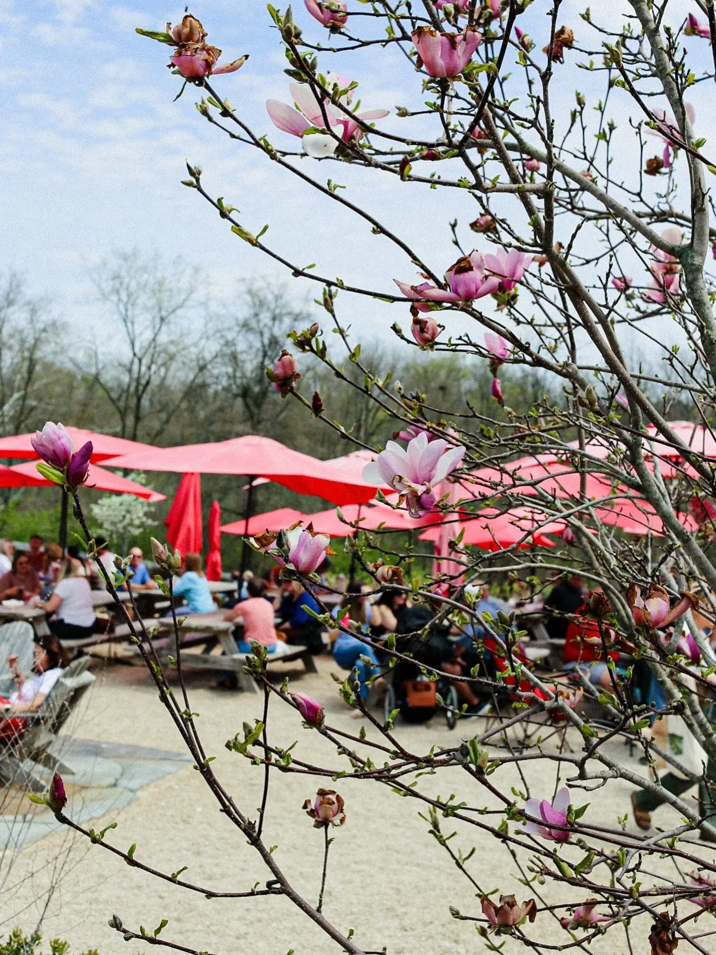 The kind of Friday that deserves to be spent outdoors ☀️ 
Fri, 04/17
My ChickN Bites 12-8p, Sweet Cheeks BBQ, Tacomania &amp; Little Italy Ristorante 4-9p
