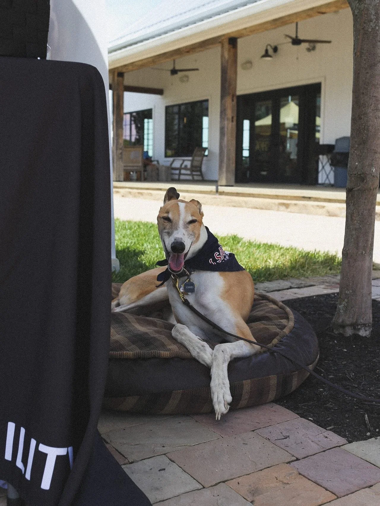 Today! May 31, 12-6p

The Greyhound Health Initiative
Kilbourne Ball Association
Quattro Coffee Company
Airplant Chick
Whispers of the Forrest
Stickee Sweet Gourmet Popcorn
The Crazy Cucumber
Cowboy Coins
The Village Bakehouse
Pet Wants
Valerie Long 