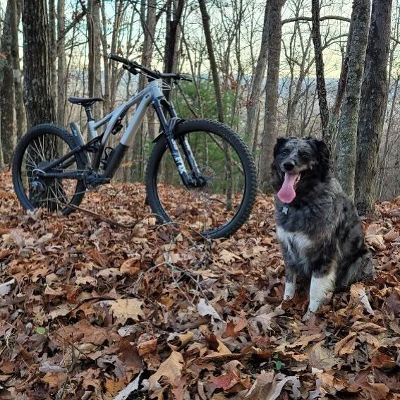 It&rsquo;s #traildogtuesday and we want y&rsquo;all to say hi to Mildred! 👋

Let&rsquo;s make #TrailDog Tuesday the highlight of every week. Send us your best trail pet pics-DM them over-and we&rsquo;ll share our favorites each week!

#TraildogAdven