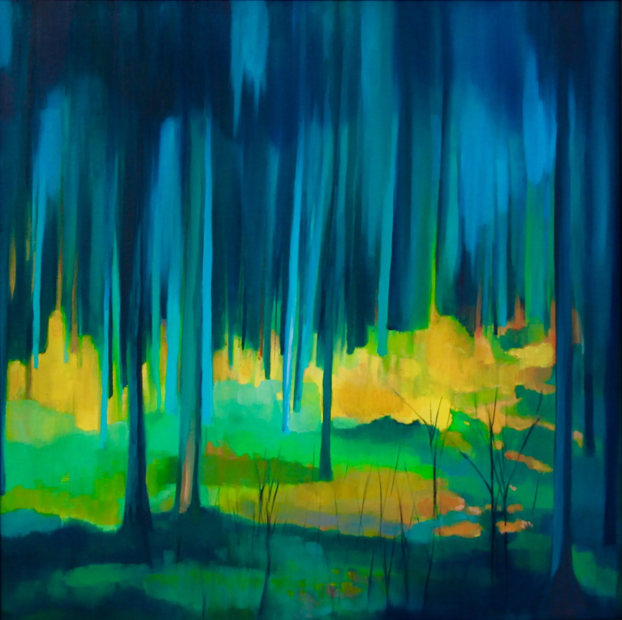 Forest Glow Sarah Anderson.jpg