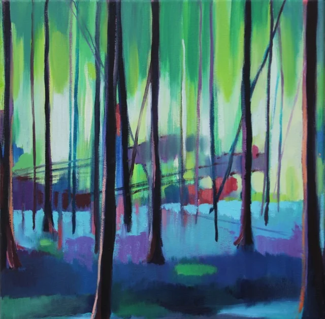 Galloway Forest.jpg