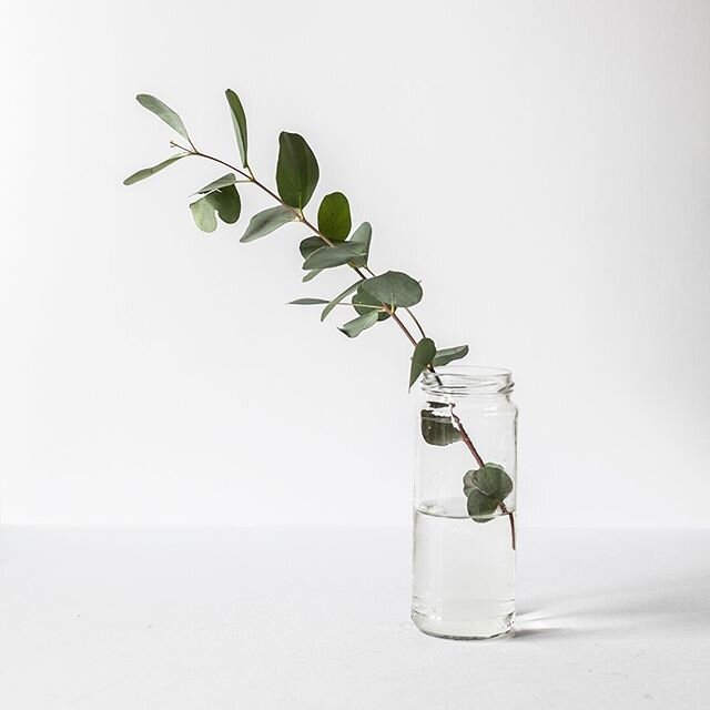 Three fun facts about eucalyptus:⁠
⁠
1. Helps to relieve symptoms of the common cold 🌿⁠
2. Known to be an effective insect repellent 🦟⁠
3. We create fabrics and garments out of eucalyptus!!⁠
⁠
.⁠
.⁠
.⁠
#tobimaxtextiles #sustainable #garmentmanufact