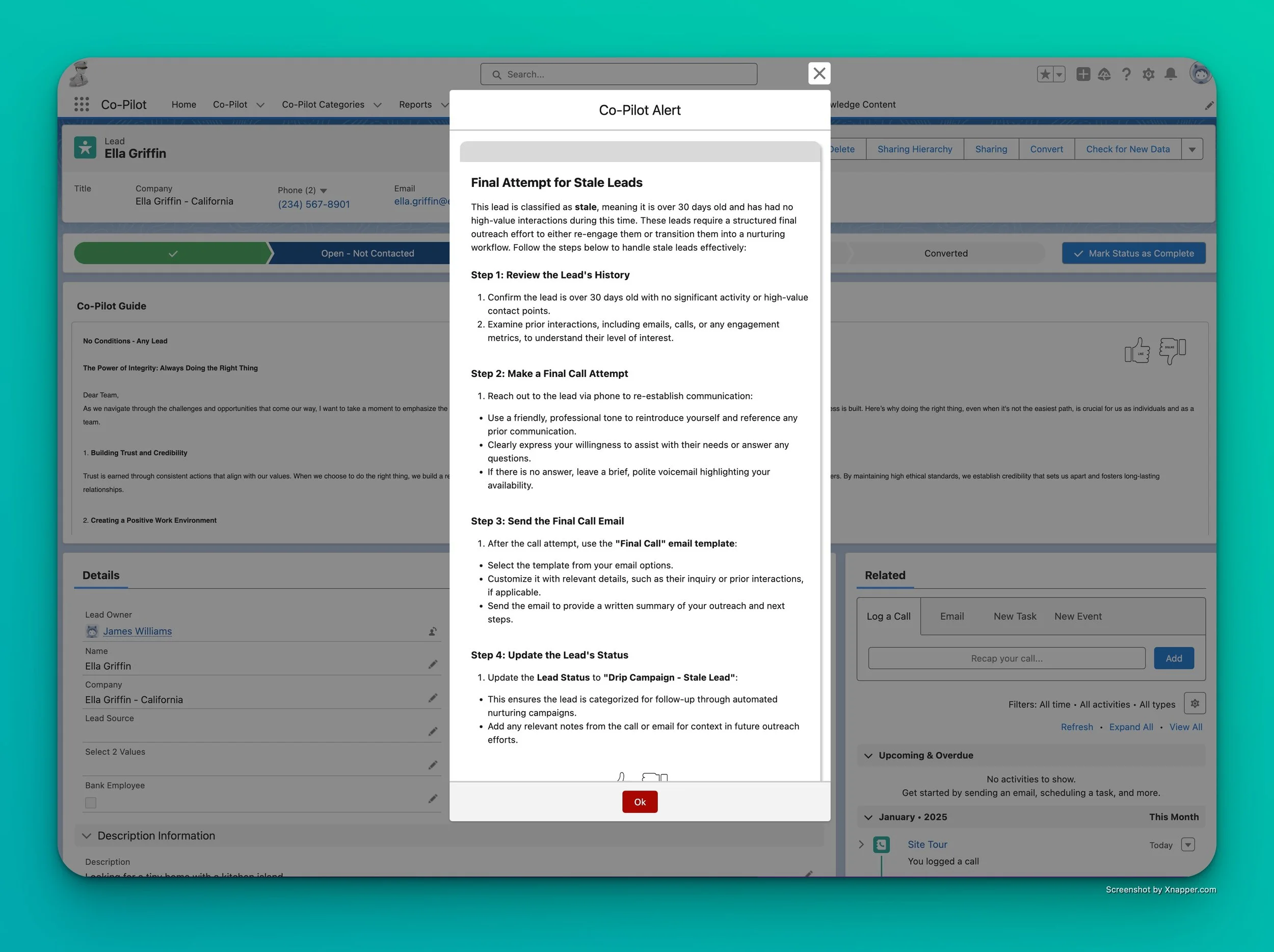 Pop-up window titled 'Co-Pilot Alert' displaying a four-step guide on handling stale leads, including reviewing lead history, making a final call, sending a final email, and updating lead status, over a blurred background of a CRM including a lead profile for Ella Griffin.