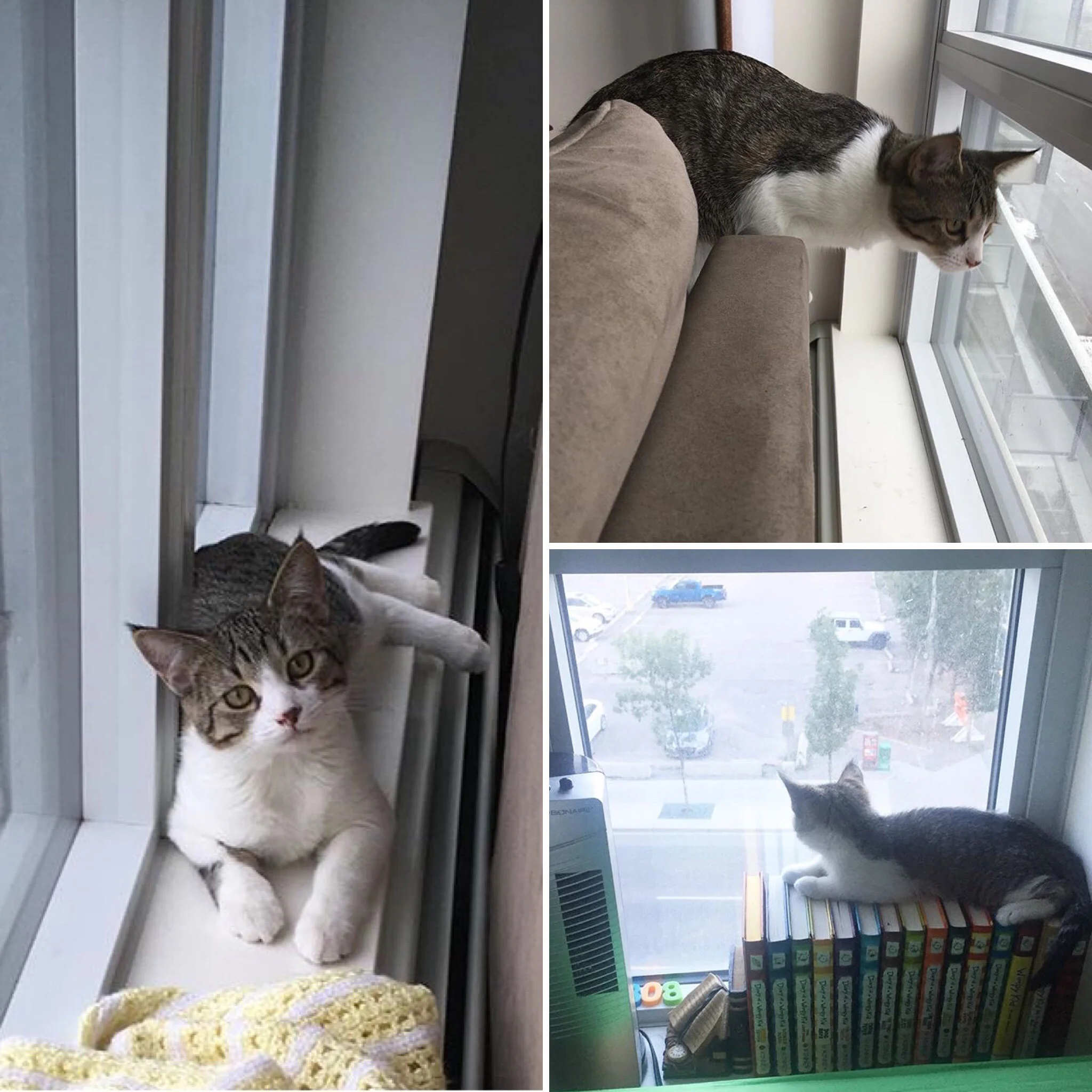 Tom on some of his favourite perches.