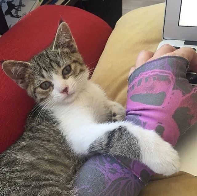 Tom “helps” me with one of my University of Edinburgh classes from Coursera.